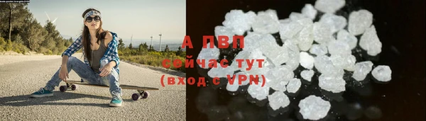 ПСИЛОЦИБИНОВЫЕ ГРИБЫ Зеленодольск