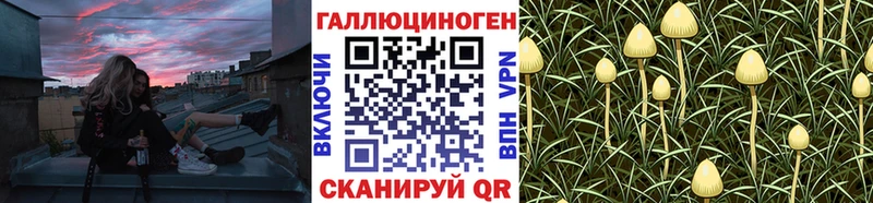 Купить закладки  Губкинский  Галлюциногенные грибы Magic Shrooms 