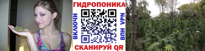 Купить закладки  Губкинский  Марихуана Ganja 